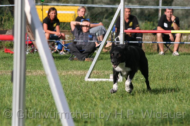 gluehwuermchen08 094 (157).jpg